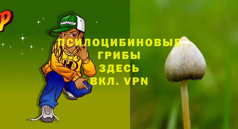 Псилоцибиновые грибы MAGIC MUSHROOMS  наркотики  Торжок 